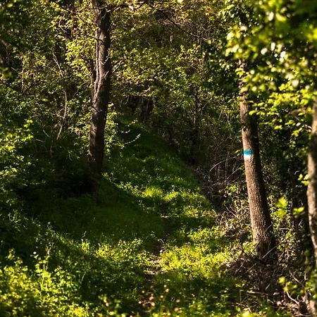 Podesteria Di Gombola - Arte E Territorio * Polinago