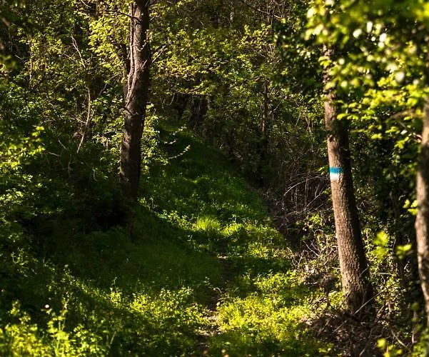 Podesteria Di Gombola - Arte E Territorio * Polinago